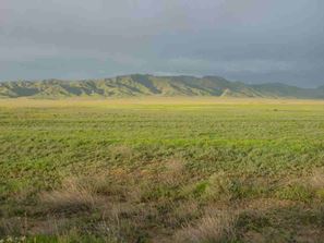 Picture of the Steppes of Central Asia